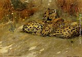 Study Of East African Leopards by Arthur Wardle